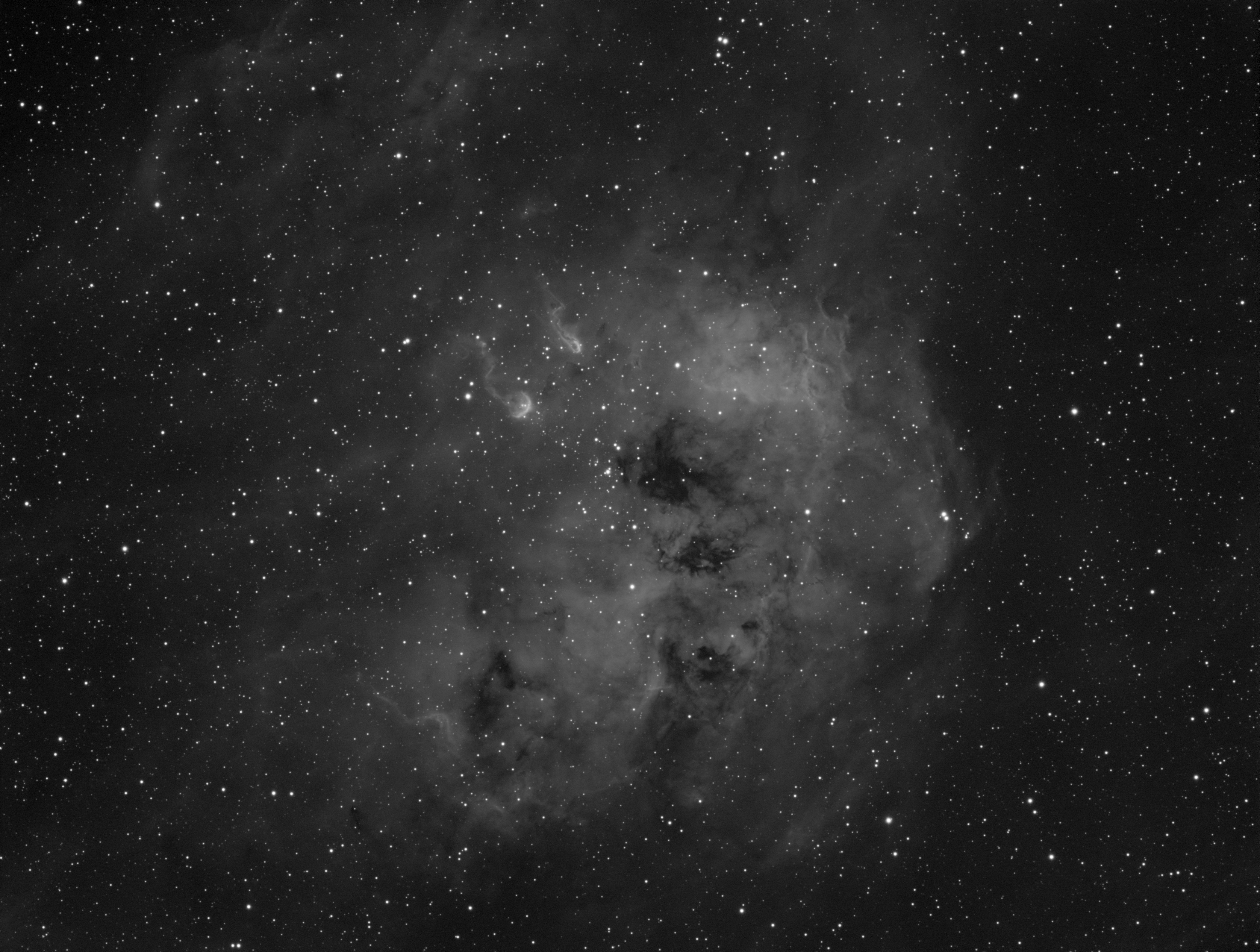 IC 410 - Tadpole Nebula