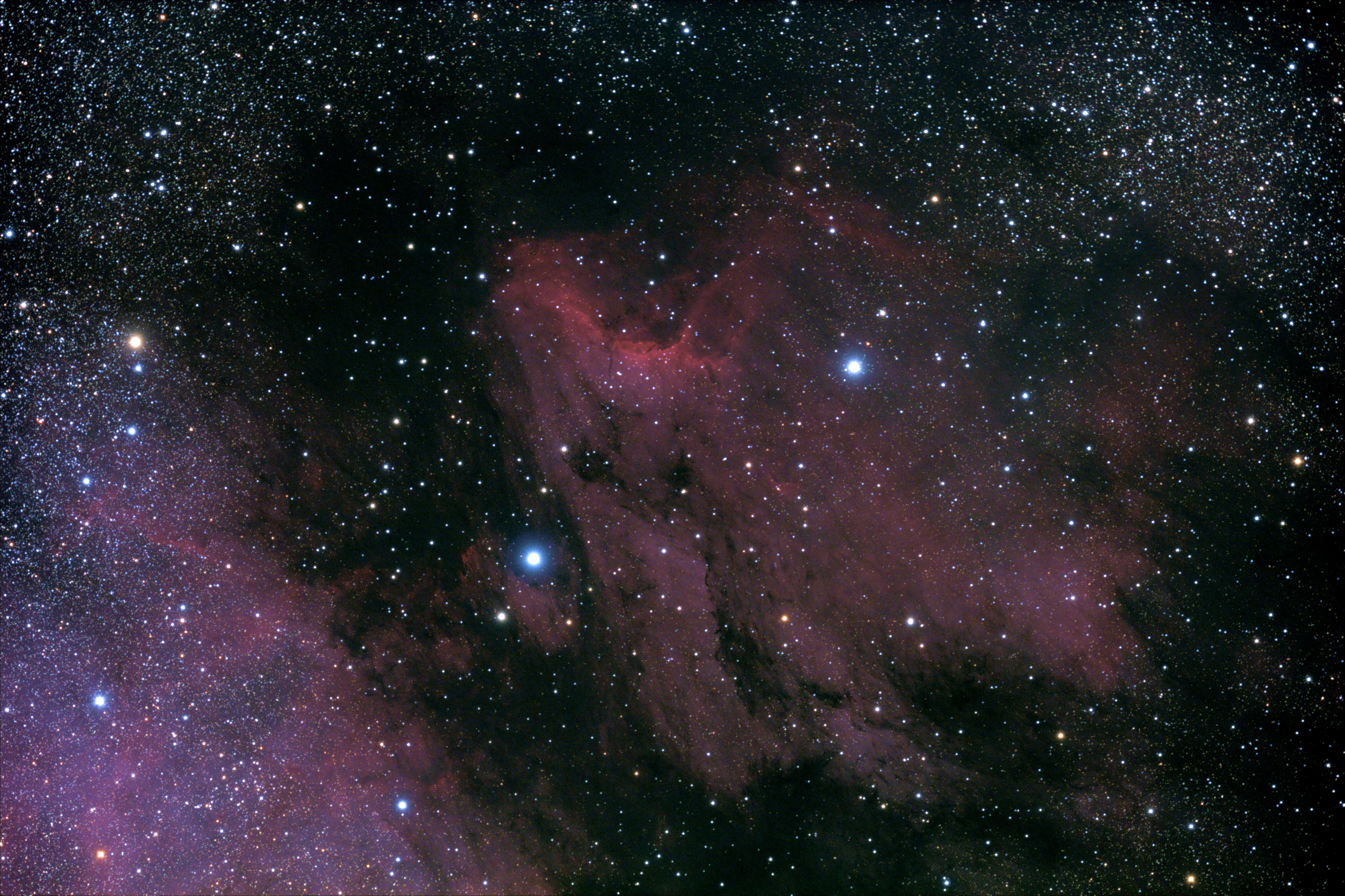 IC 5070 - Pelican Nebula