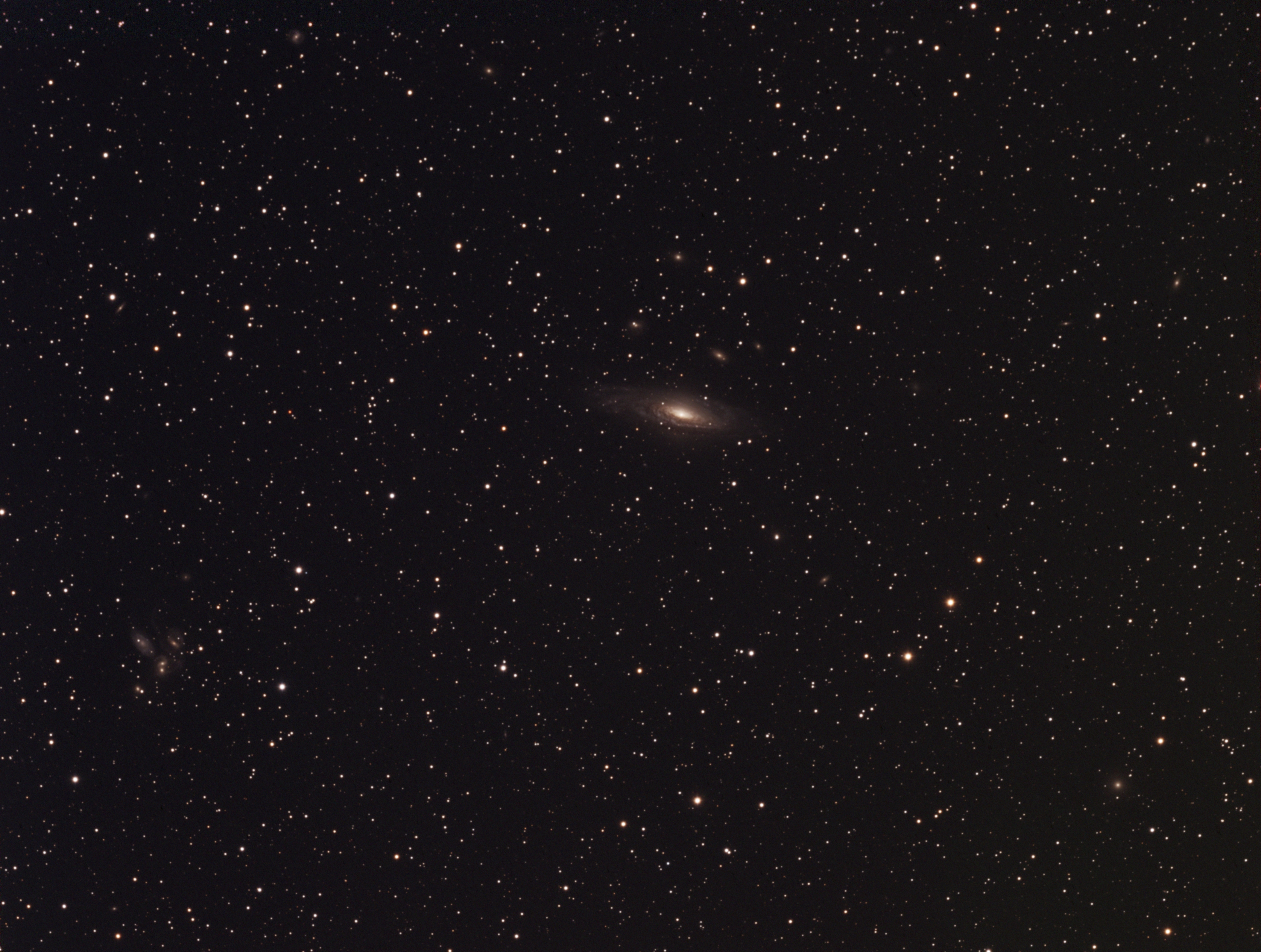 Deer Lick Group and Stephen's Quintet