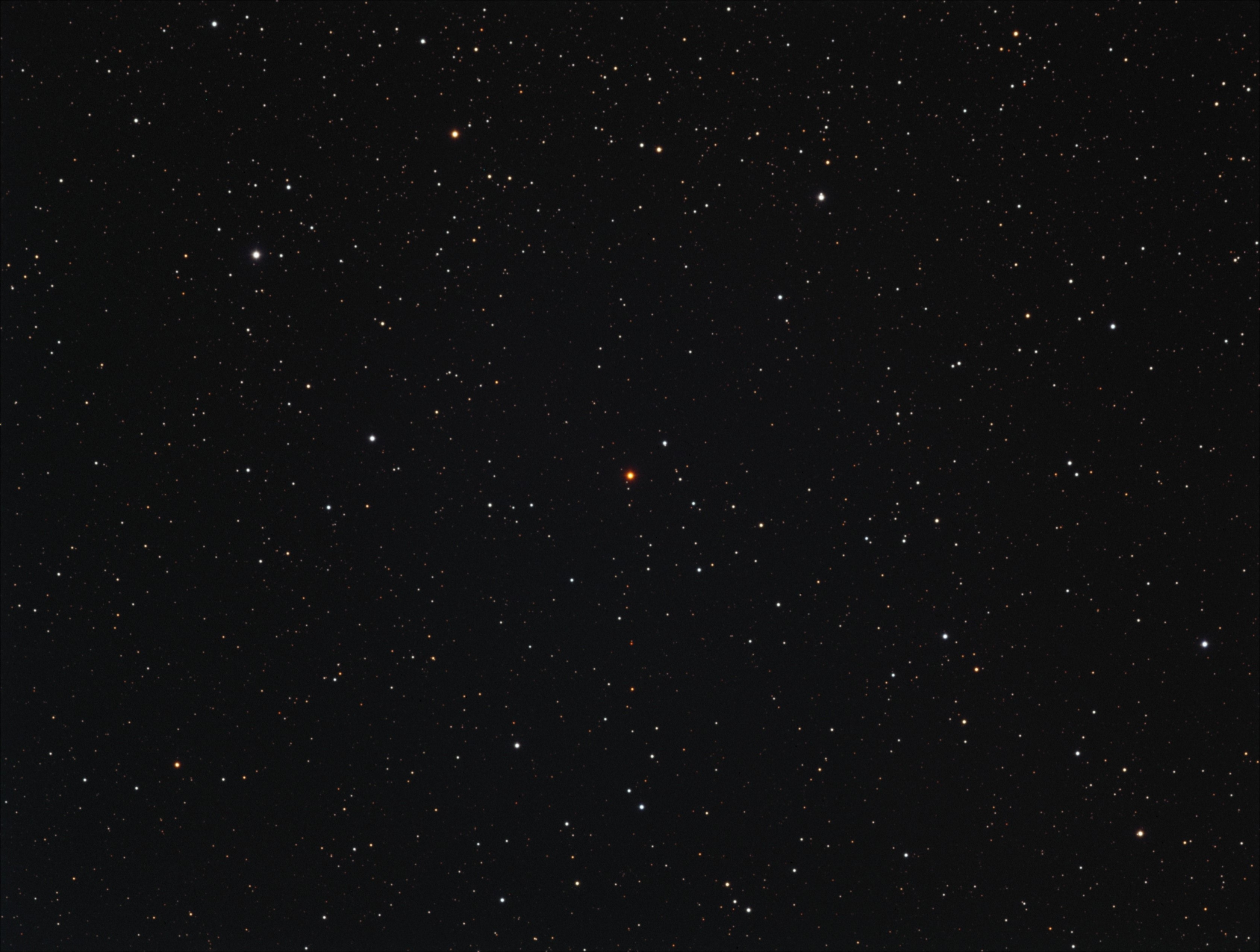V466 Persei